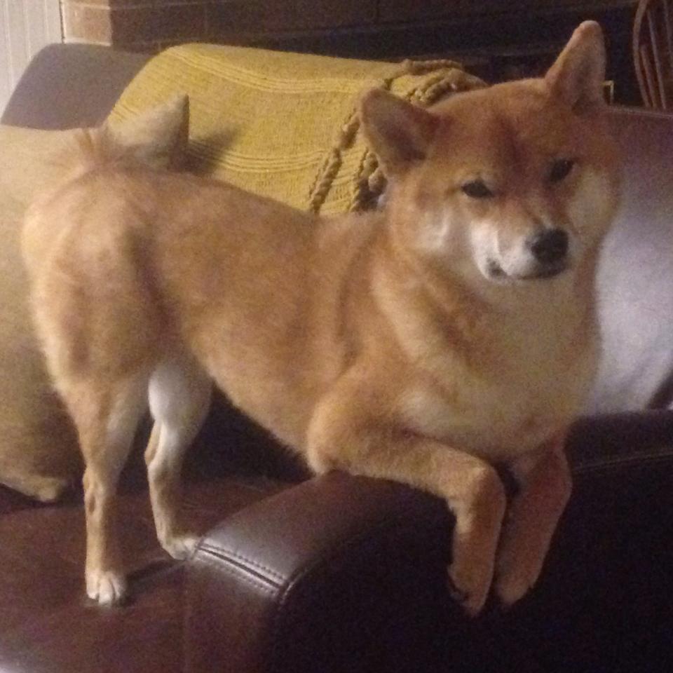 九游官网-历史性冲线瞬间：惊喜逆转夺冠，历史性突破是什么意思